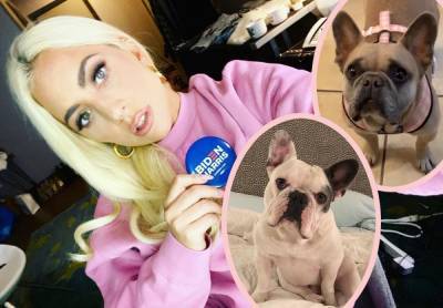 Lady GaGa Breaks Silence As FBI Investigates Political Motivations Of Dog Kidnapping - perezhilton.com - France