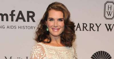 Brooke Shields on recovering from leg injury: 'Every day I feel like I'm having to begin again' - www.msn.com