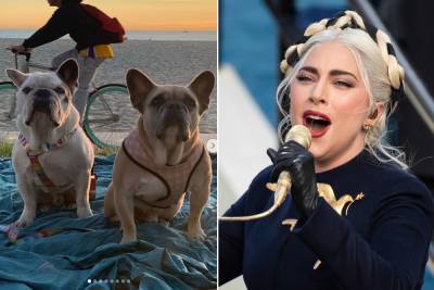 Lady Gaga’s French bulldogs recovered safely: LAPD - nypost.com - France - Los Angeles - Los Angeles - Rome
