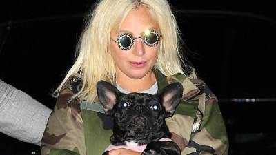 Lady Gaga's Two Dogs Recovered After Being Kidnapped - www.etonline.com - France - Los Angeles