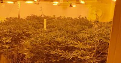 Man arrested after police discover cannabis farm in morning raid - www.manchestereveningnews.co.uk
