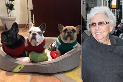 Lady Gaga’s grandmother thrilled that stolen dogs returned safely - nypost.com - Los Angeles