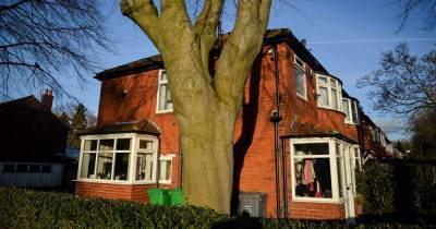 Young family say they could lose 'forever home' if they are stopped from chopping down trees that are damaging house - www.manchestereveningnews.co.uk