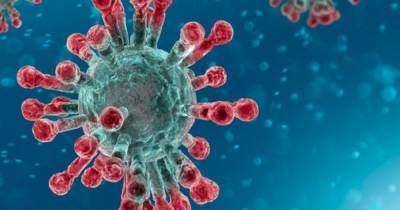 NHS Grampian introduces 'additional safety measures' in bid to control Scots cases of Brazil coronavirus variant - www.dailyrecord.co.uk - Brazil - Scotland