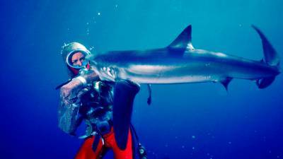 Nat Geo Doc Films Acquires ‘Playing With Sharks’ – Sundance - deadline.com - Australia