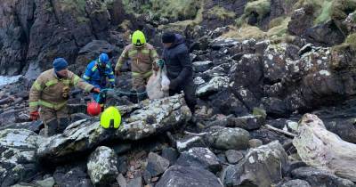 Stranded sheep sparks rescue operation at Scots beauty spot - www.dailyrecord.co.uk - Scotland
