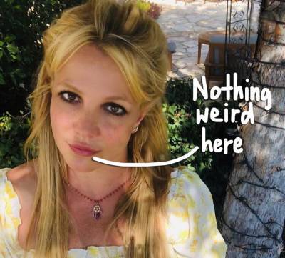 Britney Spears' Social Media Manager Addresses Conspiracy Theories About 'Secret Messages' In The Singer's Posts! - perezhilton.com