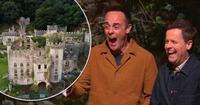 Ant and Dec hint I'm A Celebrity UK 2021 WILL be filmed to Wales - www.msn.com - Britain - county Will
