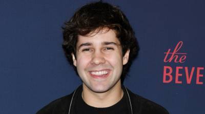David Dobrik Reveals How Much Money He Lost from Investing in GameStop Stock - www.justjared.com