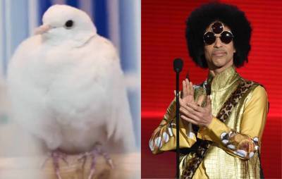 Prince’s beloved white dove Divinity has died at the age of 28 - www.nme.com