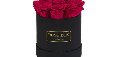 Give Everyone You Love These Beautiful, Long-Lasting Roses For Valentine's Day - www.justjared.com