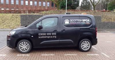 SSPCA imposters targeting dog owners in Perth and Kinross - www.dailyrecord.co.uk