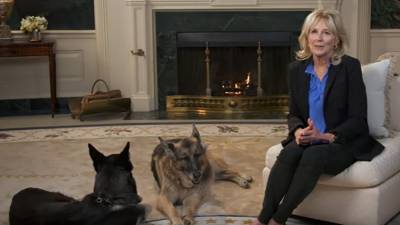 Jill Biden Records PSA for Puppy Bowl With First Dogs Champ and Major: Watch! - www.etonline.com - Indiana - county Major