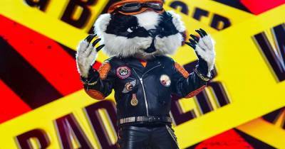 The Masked Singer: Fans convinced they've worked out Badger - www.msn.com