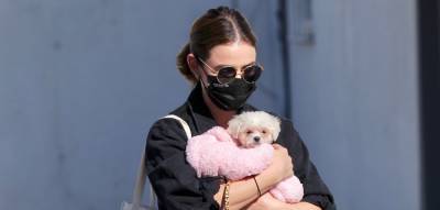 Lucy Hale's New Puppy Ethel Was Once Fostered by This Famous Actress! - www.justjared.com - Los Angeles