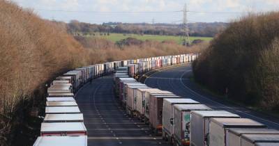 Exports to European Union down 68% since Brexit, say hauliers - www.dailyrecord.co.uk - Britain - Eu
