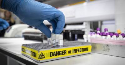Scottish Government announce seven new coronavirus deaths amid 584 new cases - www.dailyrecord.co.uk - Scotland