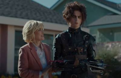 Timothée Chalamet Plays Edward Scissorhands’ Son in Super Bowl Ad With Winona Ryder - etcanada.com