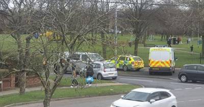 Baby boy mauled by dog in park and flown to hospital - www.dailyrecord.co.uk