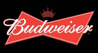 Budweiser Exec Explains Why There's No Super Bowl Commercial This Year - www.justjared.com