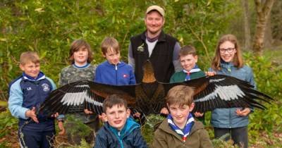 Moffat set to be named Scotland's first Eagle Town and hold UK's first ever Golden Eagle Festival - www.dailyrecord.co.uk - Britain - Scotland - county Clark - county Caroline - county Eagle