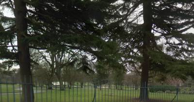 Dog thieves spotted in popular Scots park as police warn owners to be on alert - www.dailyrecord.co.uk - Scotland - county Baxter