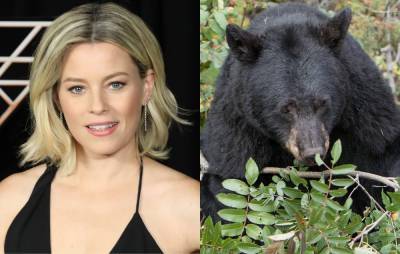 Elizabeth Banks to direct new thriller ‘Cocaine Bear’, based on bizarre true life story - www.nme.com - Kentucky - county Banks