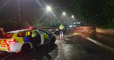 Driver in miracle escape after tree collapses onto van in Scots town - www.dailyrecord.co.uk - Scotland
