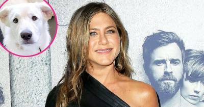 Jennifer Aniston Hits the Yoga Mat With Her Dog Lord Chesterfield - www.usmagazine.com