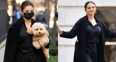 PHOTOS: Selena Gomez's furry friend gives her company as she films Only Murders in the Building in NYC - www.pinkvilla.com - New York