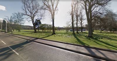 Gang of 15 men violently attack two men and women in horror Scots park attack - www.dailyrecord.co.uk - Scotland