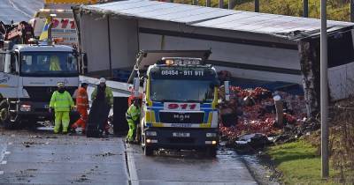 Delays on M74 near Hamilton after lorry sheds its load of onions - www.dailyrecord.co.uk - Scotland