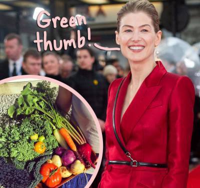 Uh, Rosamund Pike Buries Her Acting Awards In The Garden?! Here's Why! - perezhilton.com - Britain - county Garden