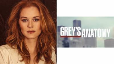 Sarah Drew Sets ‘Grey’s Anatomy’ Return With Season 17 Guest Appearance - deadline.com