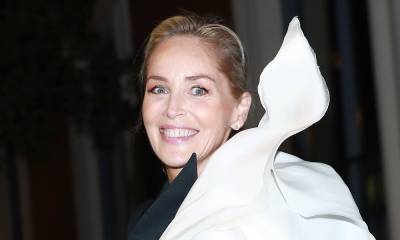 Sharon Stone delights fans with exciting announcement - hellomagazine.com - county Stone
