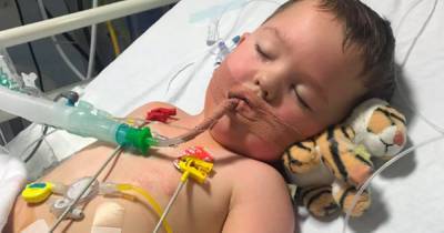 Little Scots boy who had 21 operations and spent 9,000 hours on dialysis thriving after auntie donates kidney - www.dailyrecord.co.uk - Scotland