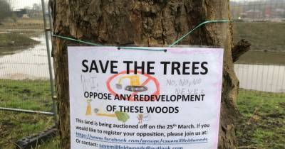 Campaigners fighting plan to auction off 'invaluable' woodland for housing - www.manchestereveningnews.co.uk