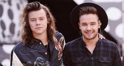 One Direction's Liam Payne is all praise for Harry Styles on his first Grammys win: Proud to be your brother - www.pinkvilla.com