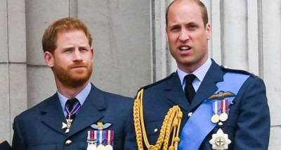 Prince William and Prince Harry royal reunion revealed: Dukes' emotional meeting outlined - www.msn.com