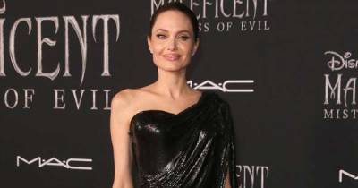 Angelina Jolie offering up 'proof and authority' of domestic violence as divorce battle heats up - www.msn.com