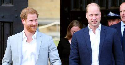 Inside Prince William and Prince Harry’s Upcoming Planned Reunion After Bombshell Interview - www.usmagazine.com