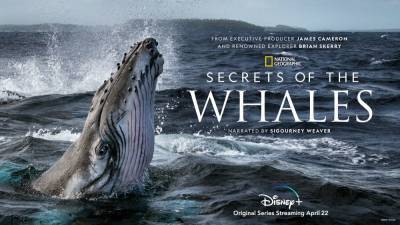 SXSW: James Cameron Explores Ocean Giants In “Daunting” NatGeo Docuseries ‘Secrets Of The Whales’ - deadline.com