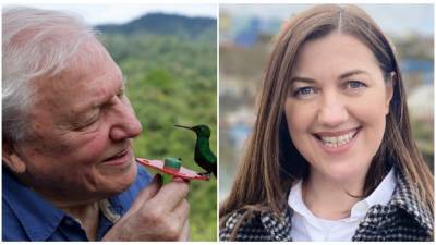 ‘Attenborough’s Life in Colour’ Producer Humble Bee Films Hires BBC Studios Executive Jayne Edwards (EXCLUSIVE) - variety.com - county Bristol - county Edwards