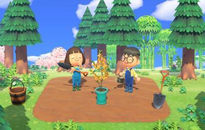 ‘Animal Crossing: New Horizons’ details nature-themed plans for Spring - www.nme.com - South Korea