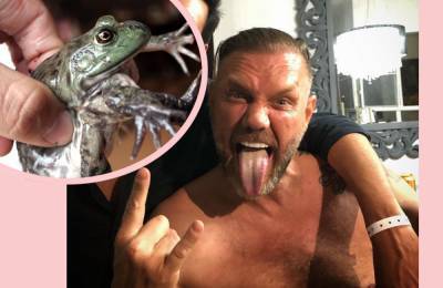 Spanish Porn Star Charged With Homicide In Psychedelic Toad Venom Death! - perezhilton.com - Spain