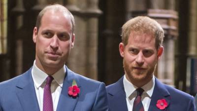 Harry, William could have made 'brilliant' team, report says - www.foxnews.com