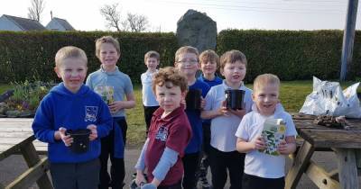 Borgue Primary Pupils learn about healthy plant life as part of British Science Week - www.dailyrecord.co.uk - Britain
