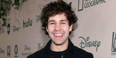 David Dobrik Releases Second Apology Video Amid Vlog Squad Assault Allegations & Brands Dropping Out - www.justjared.com