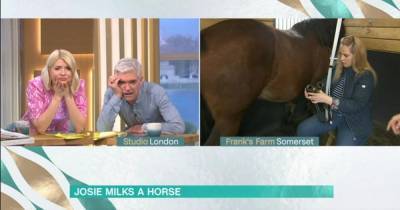 This Morning could face Ofcom investigation after horse milked live on-air - www.manchestereveningnews.co.uk - Manchester