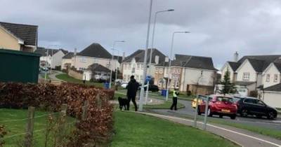 Man struck by car at zebra crossing and rushed to hospital in Fife - www.dailyrecord.co.uk - Scotland